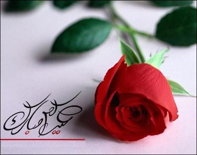 pour toi ilham